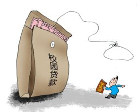  网络公司放校园贷违法吗