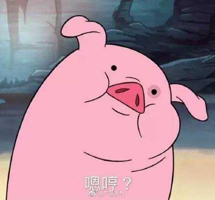 黑白猪头像限定