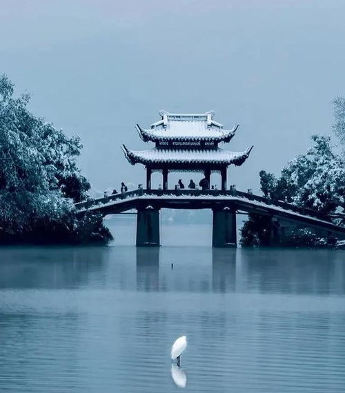  看完中国最美40个雪景,瞬间沦陷了60岁前必去,你去过几个