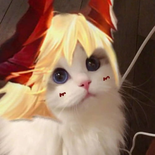  李信皮肤猫咪头像一念神魔王者荣耀李信神魔皮肤猫咪头像快吧手游