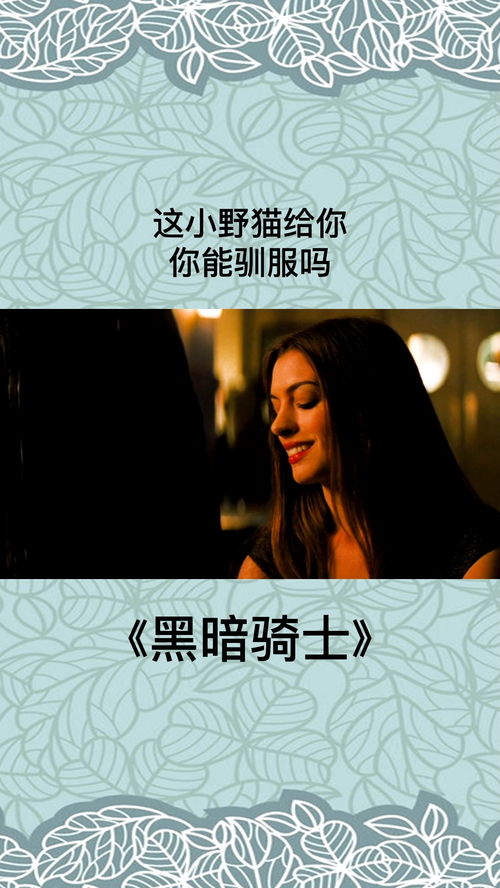  这小野猫给你,你能驯服吗黑暗骑士影视