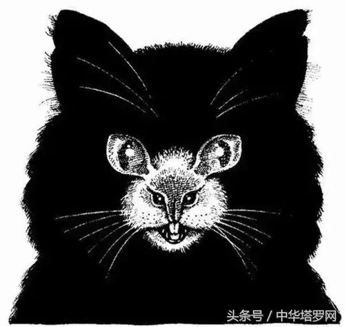  神秘图片测试,不信你不服