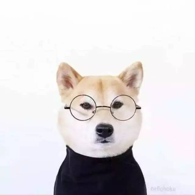  搜狐公众平台谁说单身汉不懂生活的烟火味,他把地中海的自由随性都装进了家