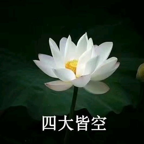  一组老年人头像花开富贵请求添加好友з