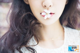  angelababy樱花写真曝光仙气十足少女感爆棚高清组图
