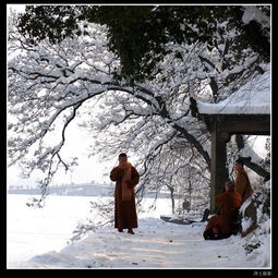  西湖雪景专辑第4页zzgyp