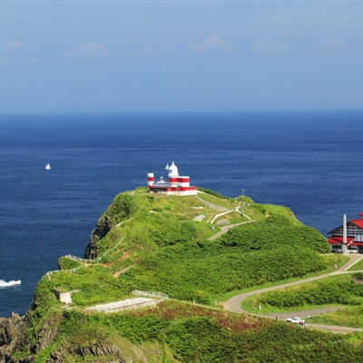  绿色风景头像最美北海道风光18张