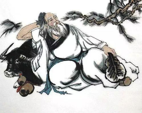  世间最极致的风景,其实是人