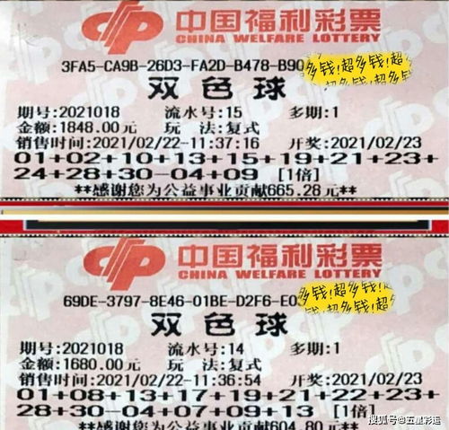  双色球21018期晒票下午场,千里之行始于足下,心态决定成败