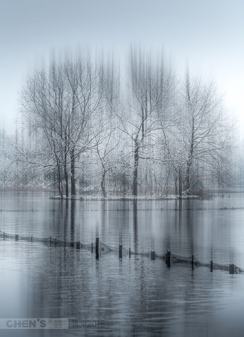  杭州雪景