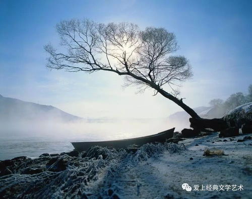 微信头像图片佛爷风光