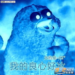  我的良心活蹦乱跳鹦鹉兄弟表情包我的良心大大的黑表情包图片大全下载乐游网游戏下载