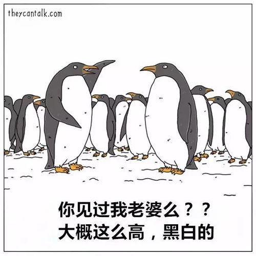 沙雕动物头像说话
