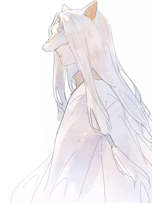  光遇动漫头像雨妈白鸟