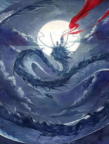  谁说白龙就是马