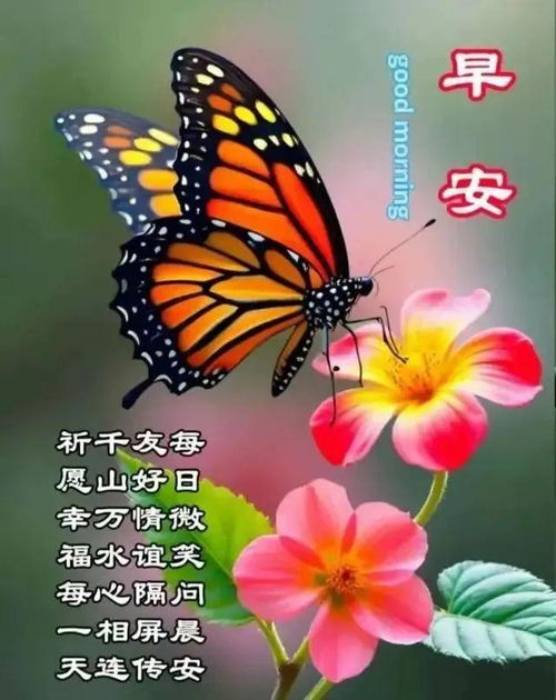  中老年专属早安祝福语配美图,让你的朋友圈瞬间火爆