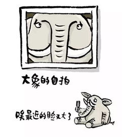  如果动物有朋友圈,一定是这样的