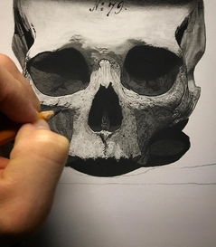  素描教程丨铅笔炭笔色粉无所不用其极