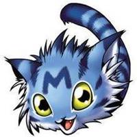  猫狗和谐相处头像微信头像图片大全