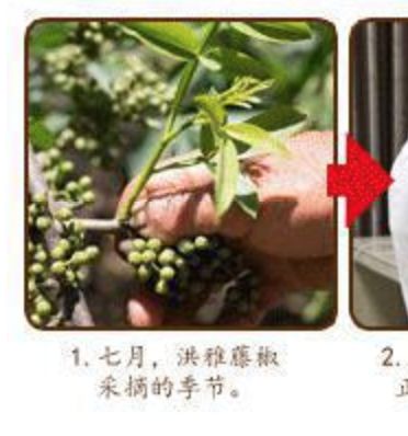 中华小当家图片头像花椒