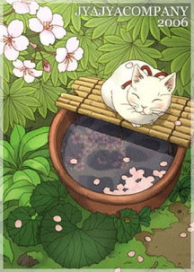  猫堆糖,美好生活研究所