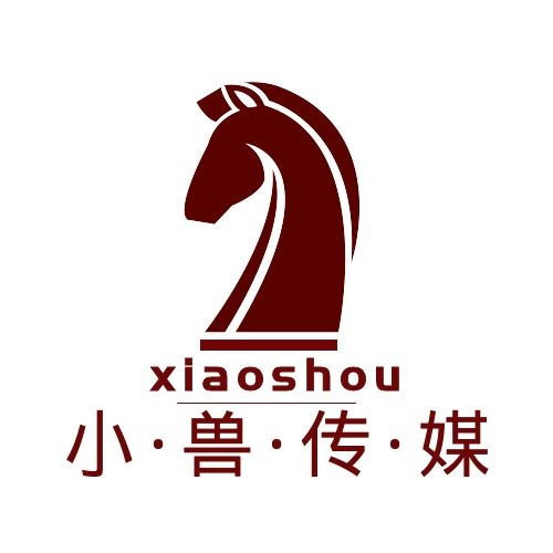  东莞抖音账号短视频拍摄运营服务