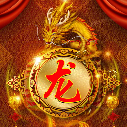  生肖龙微信头像写上百家姓氏,炫酷朋友圈