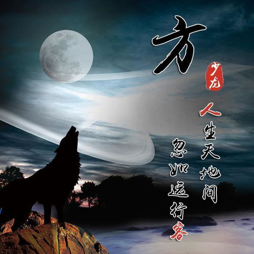  励志血性狼姓氏头像微信头像,送给在困境中坚持梦想的你