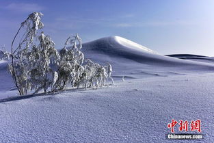  新疆塔克拉玛干沙漠雪景展现极致之美