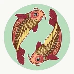 双子座恶魔头像另类理财