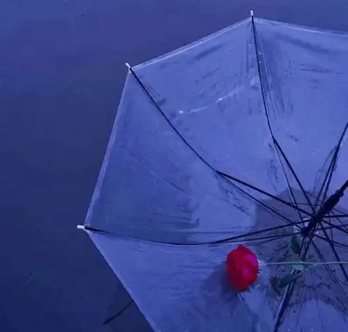 蓝色系可爱头像