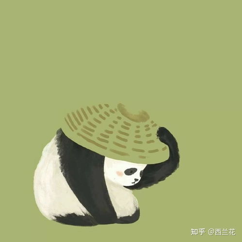  离一本线差五分,复读还是二本呢