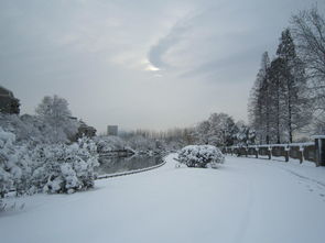 2013年2月南京的第一场雪