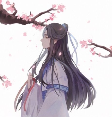  魔道祖师你可能不知道的十件小事,江澄曾经相过亲