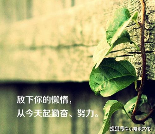 关于保持好心态的句子,自律的程度,决定你人生的高度