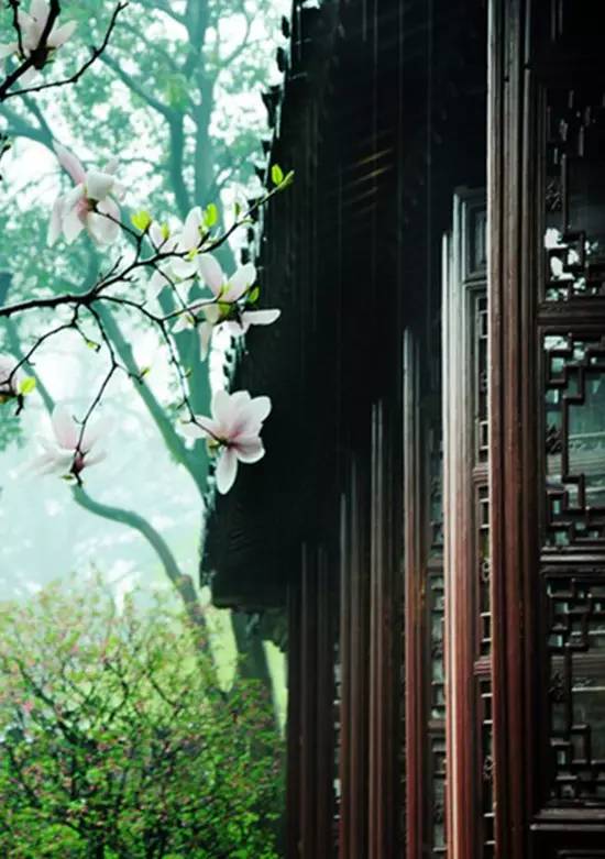  心态不好,你将永远是个弱者失败