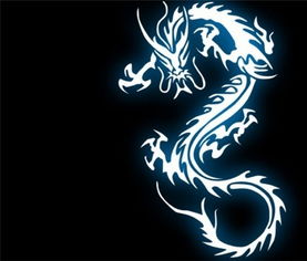  2017年属龙人的全年运势详解