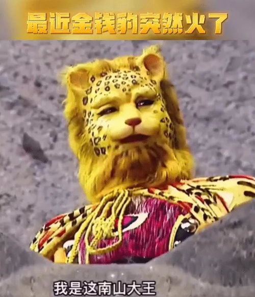  金钱豹头像是什么梗,怎么意外走红的
