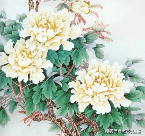  十二生肖中,不懂得报恩的生肖,吃里扒外标准白眼狼