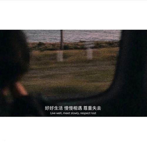  丧到极致的抑郁文案我们都不是好演员我藏不住热情你演不出喜欢
