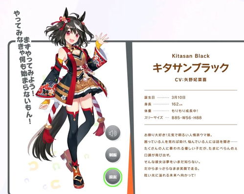 赛马娘北部玄驹头像