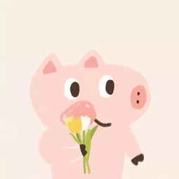  抖音2019必备新年头像2019猪年头像大全分享