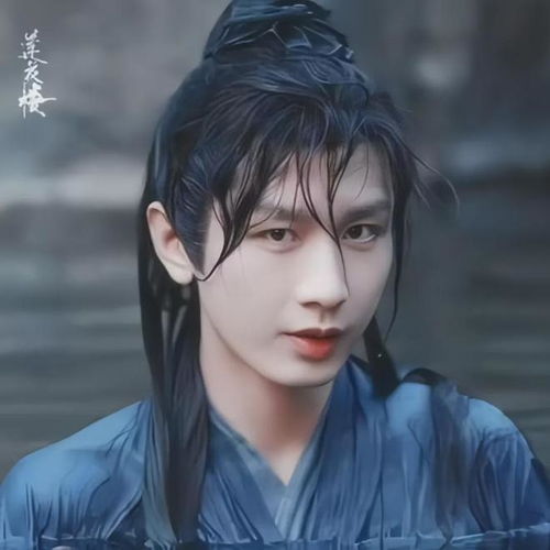  2024古装权谋男主肖战成毅对比,你更喜欢谁