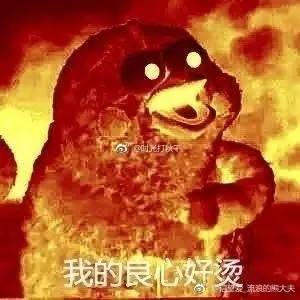  奶茶妹妹晚宴请美国半个时尚圈,英文流利聊京东