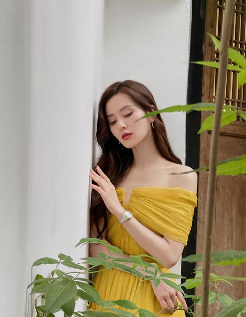 书的图片头像唯美秦岚