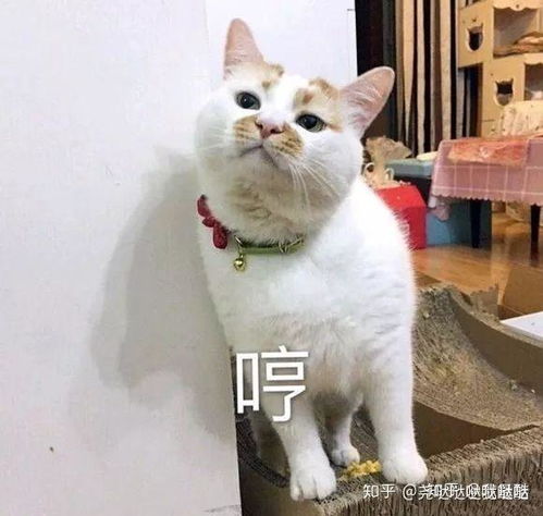  经常在朋友圈发感想的人是不是很讨厌