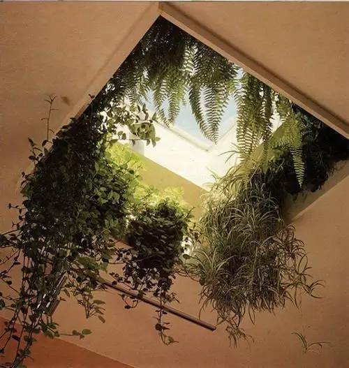  天井丨一个建筑的心