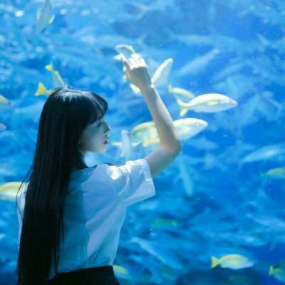  失去的不再回来回来的亦不如初