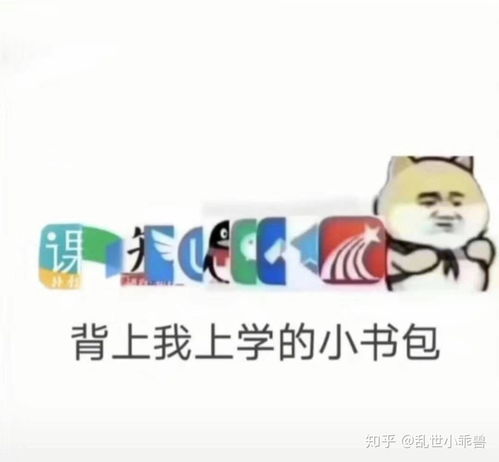  上网课用的都是什么软件