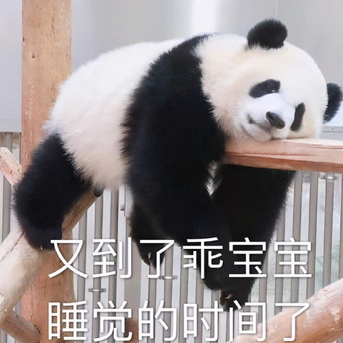  又萌又魔性的动物表情包即将来袭,你准备好接收了吗